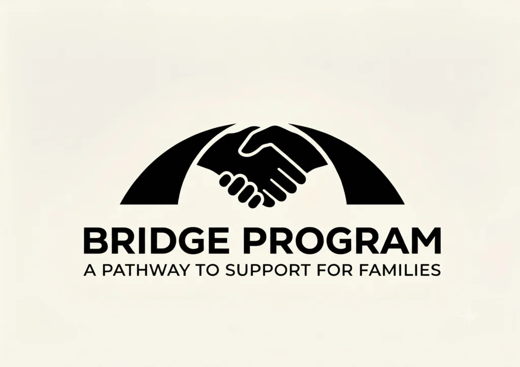 The Bridge Program