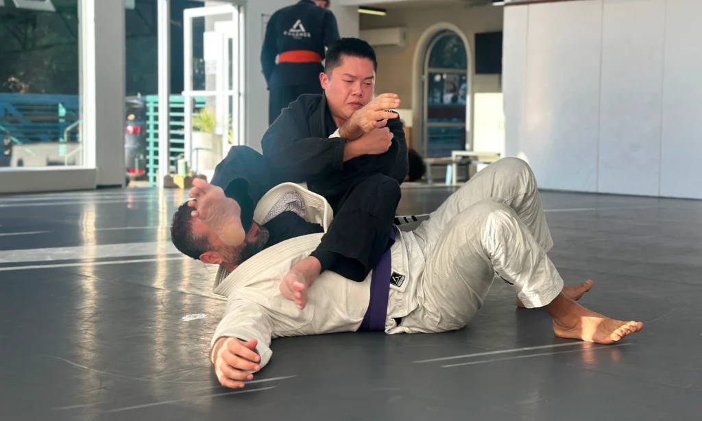 Adults jiu-jitsu training