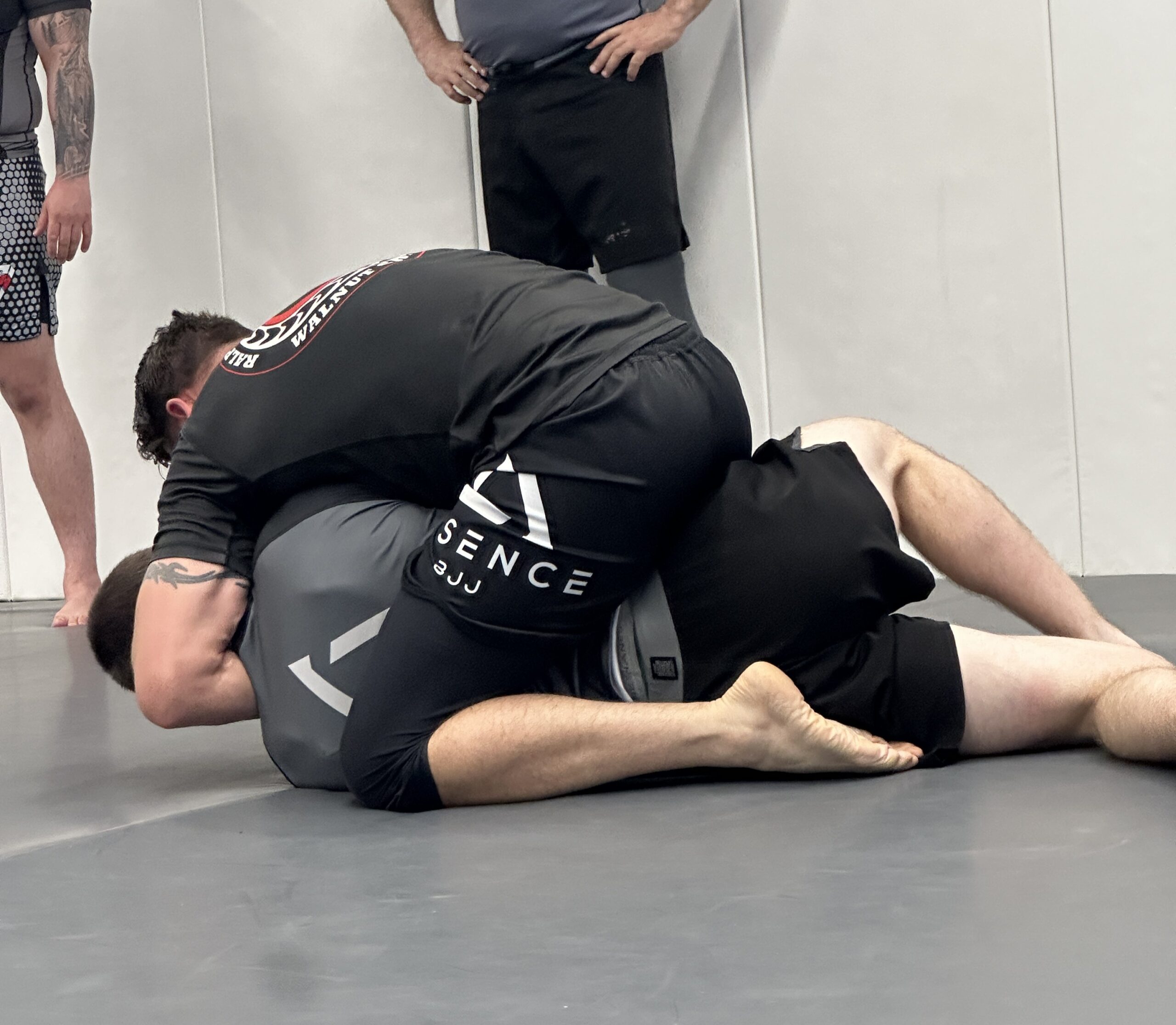 No gi training at essence walnut creek